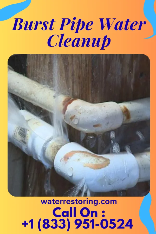 Burst Pipe Water Cleanup in Prospect Park, NJ