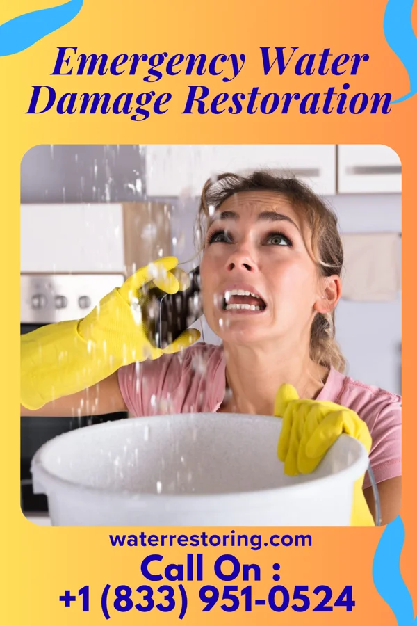 Emergency Water Damage Restoration in Prospect Park, NJ