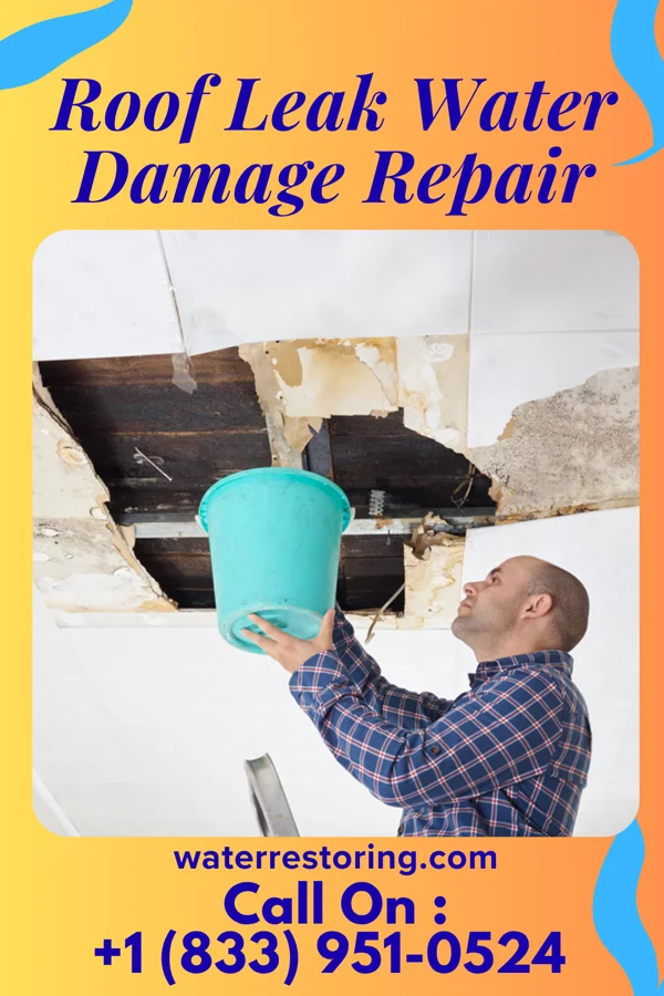 Roof Leak Water Damage Repair in Prospect Park, NJ