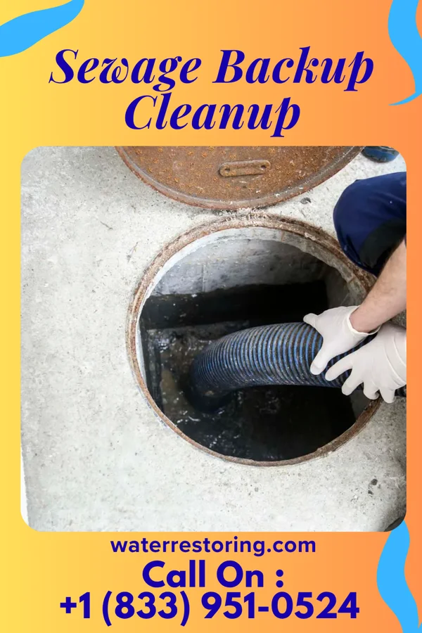 Sewage Backup Cleanup in Prospect Park, NJ