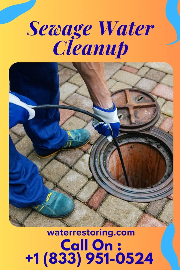 Sewage Water Cleanup in Prospect Park, NJ